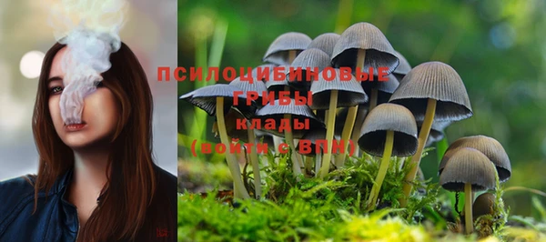 кокс Аркадак